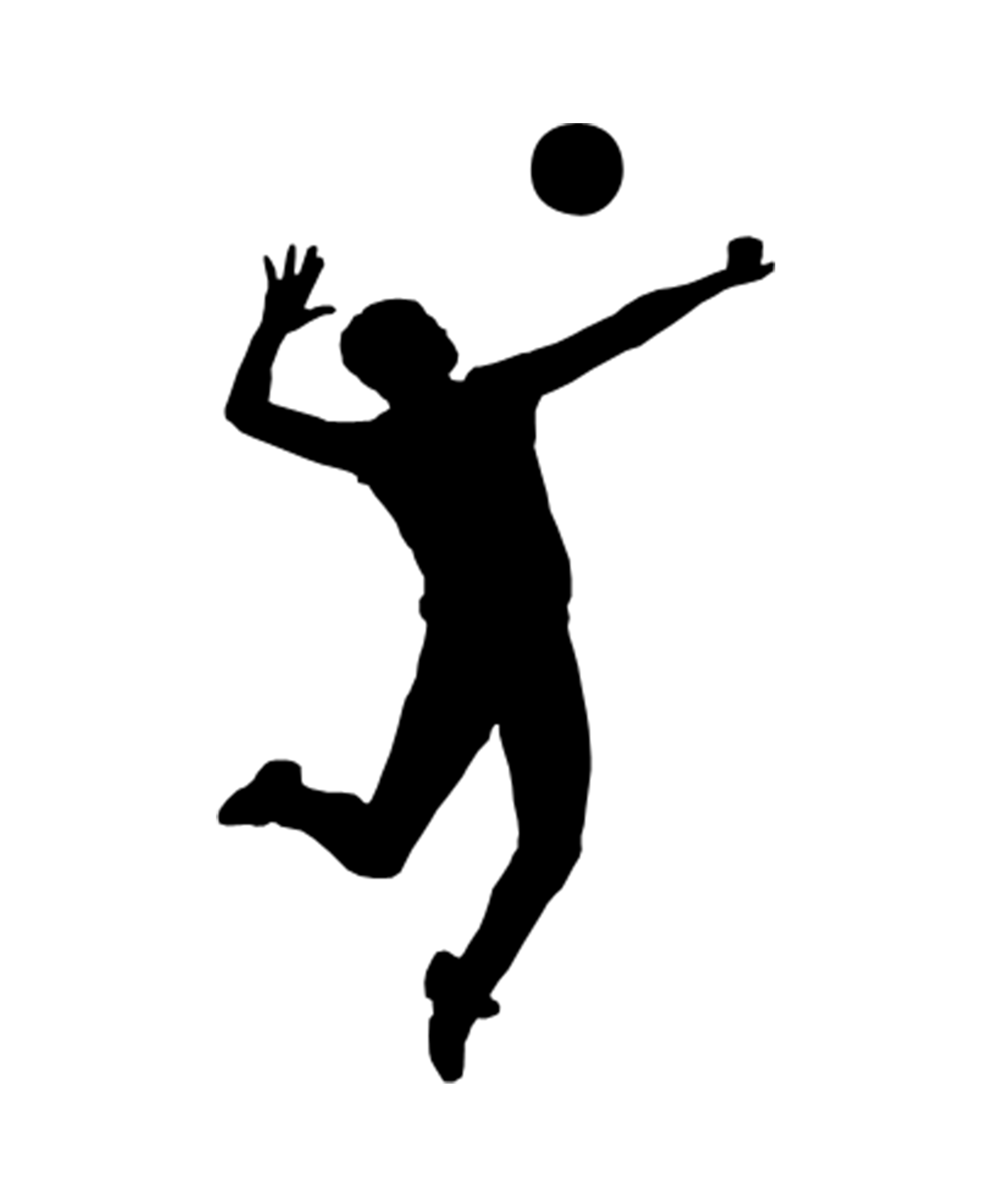 Takım Detayları